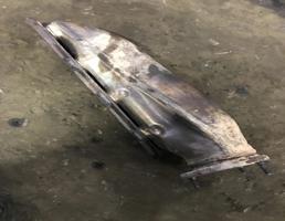 Выпускной коллектор для Audi Q7 (4L)  2005 - 2009  запчасти бу