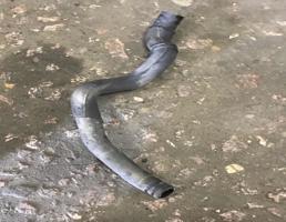 Шланг системы охлаждения для Audi A5/S5 Sportback (8T) 2007-2011  запчасти бу