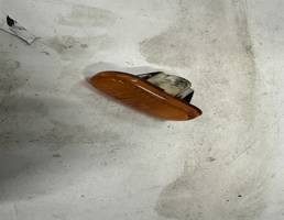 Указатель поворота для Renault Clio /Symbol 1998-2008  запчасти бу