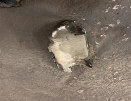 Экран тепловой для Audi A6 (C6 4F) Allroad quattro 2005-2012  запчасти бу