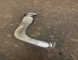 Патрубок для Volkswagen Touareg 7L 2002-2006  запчасти бу