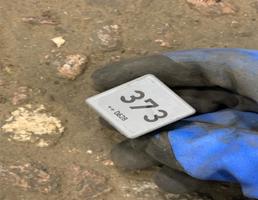 Реле 373 для Audi Q7 (4L)  2005 - 2009  запчасти бу