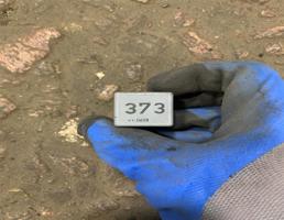 Реле 373 для Audi Q7 (4L)  2005 - 2009  запчасти бу