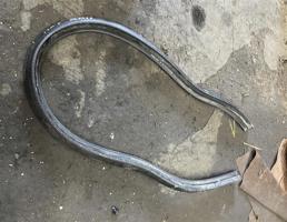 Уплотнитель капота для Skoda Superb 2008-2015  запчасти бу